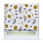 Ленивец в шлеме